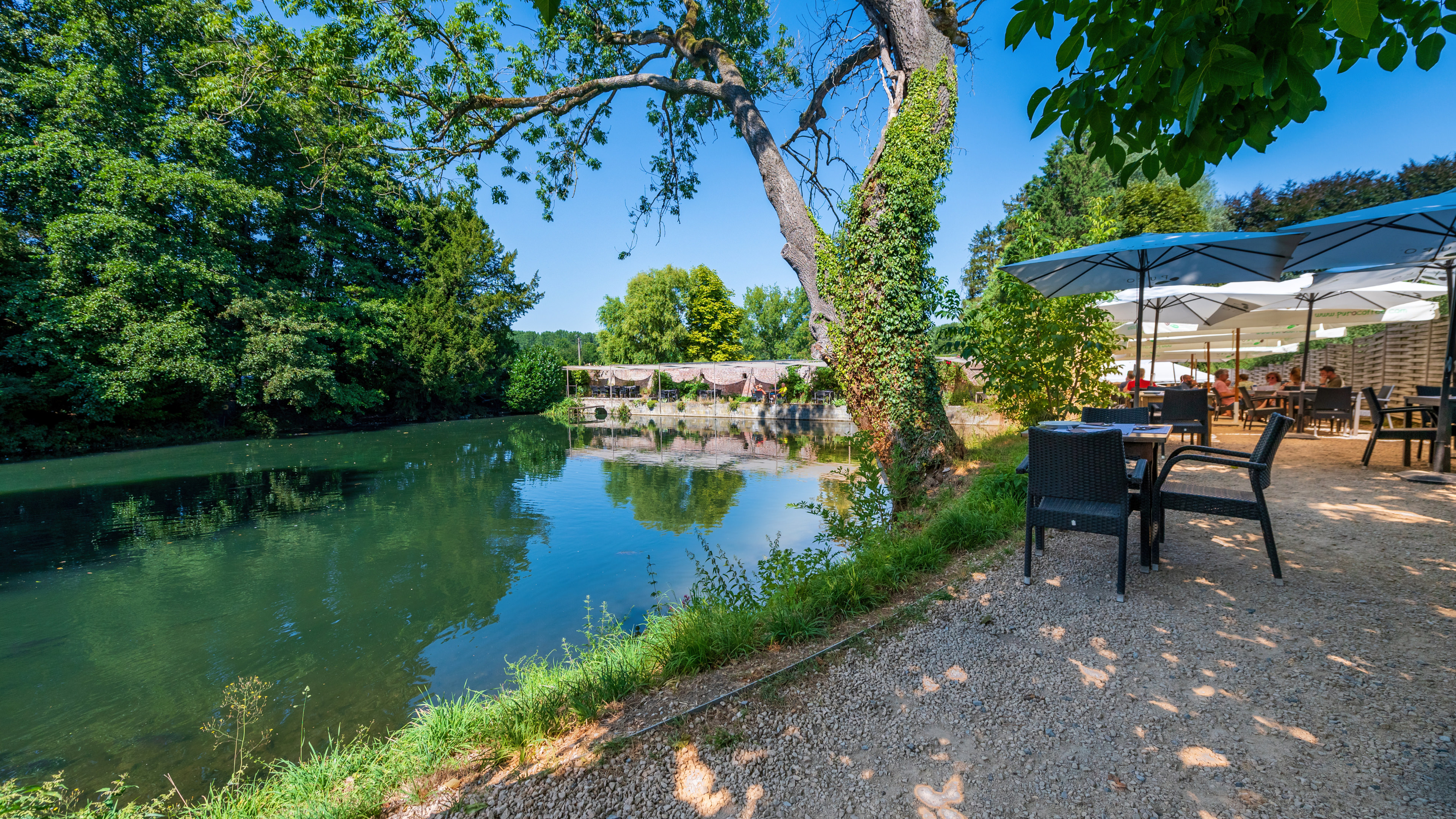 Étang avec terrasse confortable où les invités profitent du soleil autour des tables