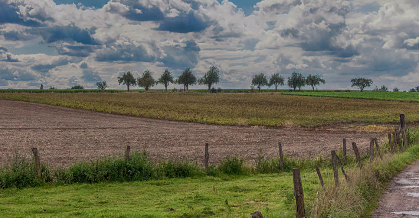 Landschap bij Puur Teuven